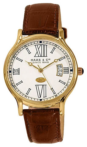 Wrist watch Haas BKH420XWA for Men - picture, photo, image