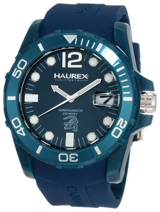 Wrist watch Haurex B1354UBB for Men - picture, photo, image