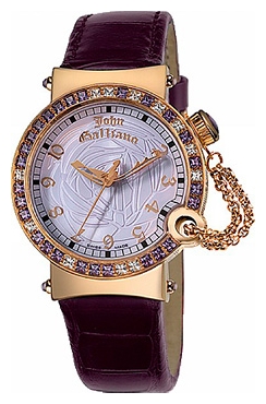 Wrist watch John Galliano JG-06-06 for women - picture, photo, image