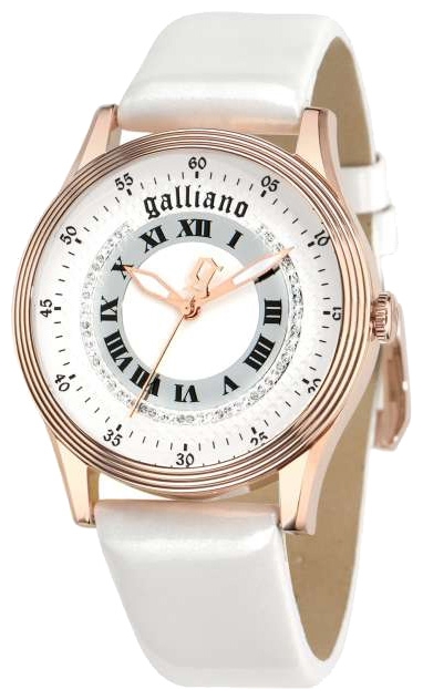 Wrist watch John Galliano R2551104501 for women - picture, photo, image