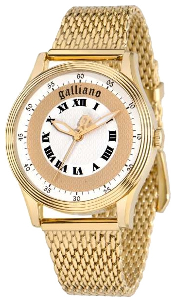 Wrist watch John Galliano R2553104501 for women - picture, photo, image