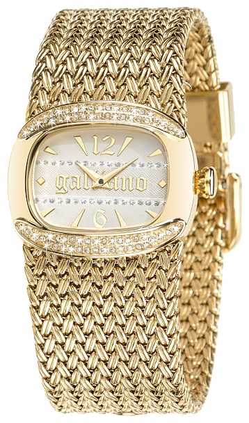 Wrist watch John Galliano R2553107501 for women - picture, photo, image