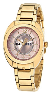 Wrist watch John Galliano R2553111501 for women - picture, photo, image