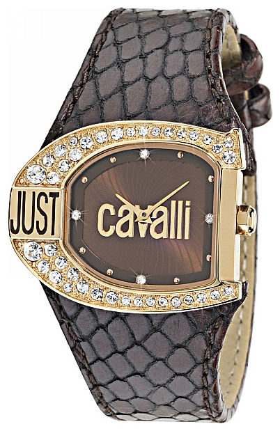 Wrist watch Just Cavalli 7251 160 555 for women - picture, photo, image