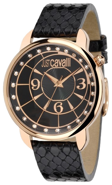 Wrist watch Just Cavalli 7251 178 525 for women - picture, photo, image