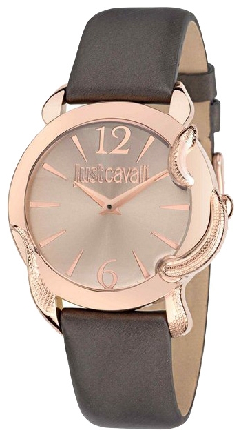 Wrist watch Just Cavalli 7251 576 501 for women - picture, photo, image