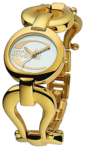 Wrist watch Just Cavalli 7253 109 745 for women - picture, photo, image