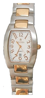 Wrist watch Nexxen NE1123M 2T/SIL for men - picture, photo, image