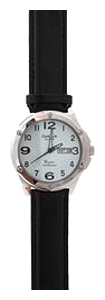 Wrist watch OMAX DLZ077-PNP for men - picture, photo, image