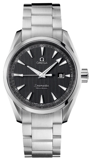 Wrist unisex watch Omega 231.10.39.61.06.001 - picture, photo, image