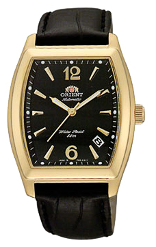 ORIENT ERAE005B pictures