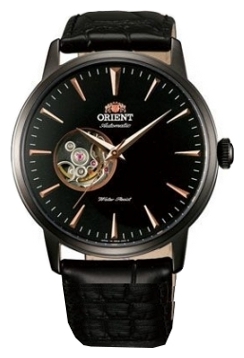Wrist watch ORIENT FDB08002B for men - picture, photo, image