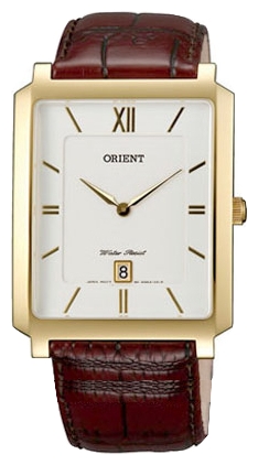 Wrist watch ORIENT FGWAA003W for Men - picture, photo, image