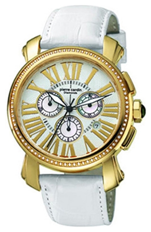 Wrist watch Pierre Cardin PC069311D13 for women - picture, photo, image