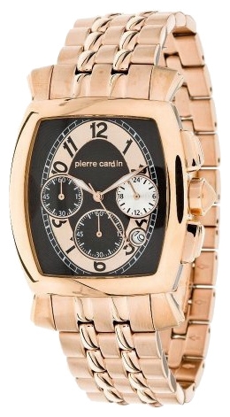 Wrist watch Pierre Cardin PC100211F07 for men - picture, photo, image
