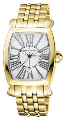 Wrist watch Pierre Cardin PC100251F03 for Men - picture, photo, image