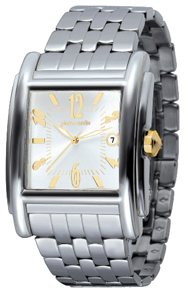 Wrist watch Pierre Cardin PC100491F01 for Men - picture, photo, image