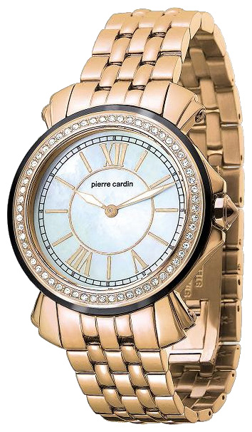 Wrist watch Pierre Cardin PC100742F01 for women - picture, photo, image