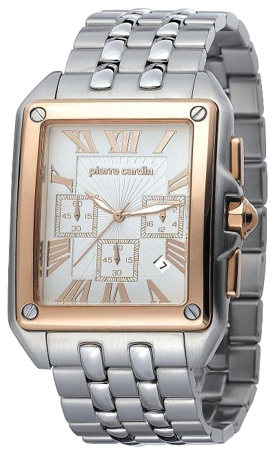 Wrist watch Pierre Cardin PC100781F02 for Men - picture, photo, image
