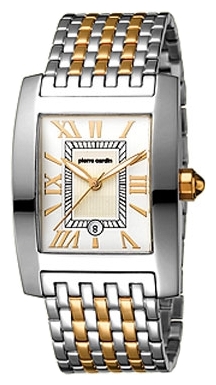 Wrist watch Pierre Cardin PC101301F06 for Men - picture, photo, image