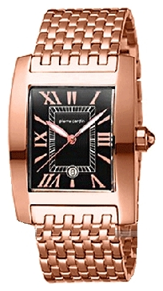Wrist watch Pierre Cardin PC101301F08 for men - picture, photo, image