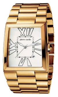 Wrist watch Pierre Cardin PC101491F01 for men - picture, photo, image