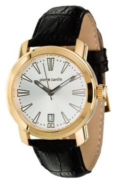 Wrist watch Pierre Cardin PC101711F04 for men - picture, photo, image