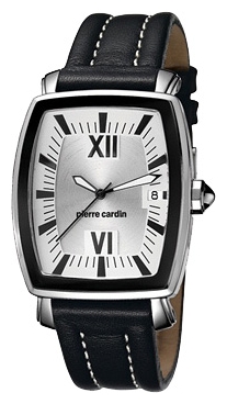 Wrist watch Pierre Cardin PC101951.F12 for Men - picture, photo, image