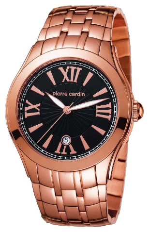 Wrist watch Pierre Cardin PC102871F03 for Men - picture, photo, image