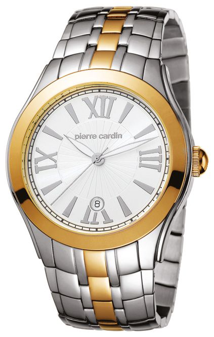 Wrist watch Pierre Cardin PC102871F05 for men - picture, photo, image