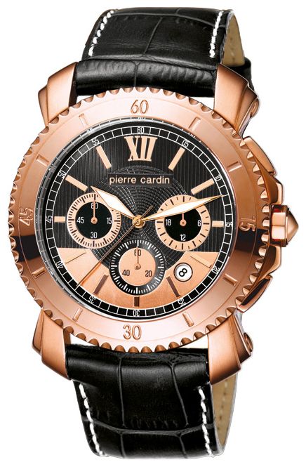 Wrist watch Pierre Cardin PC103601F02 for men - picture, photo, image