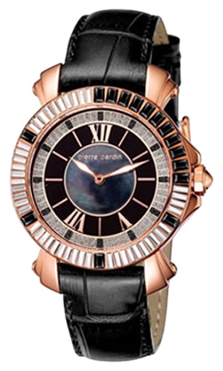 Wrist watch Pierre Cardin PC103642F02 for women - picture, photo, image