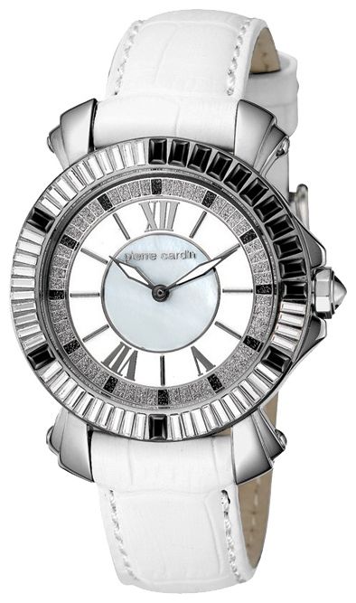 Wrist watch Pierre Cardin PC103642F04 for women - picture, photo, image