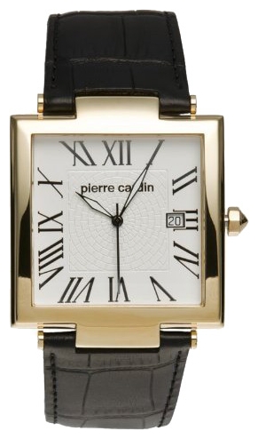Wrist watch Pierre Cardin PC103951F03 for men - picture, photo, image