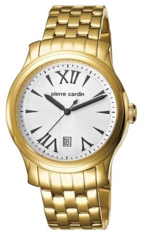 Wrist watch Pierre Cardin PC104121F07 for Men - picture, photo, image