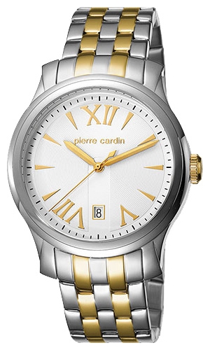 Wrist watch Pierre Cardin PC104121F08 for Men - picture, photo, image