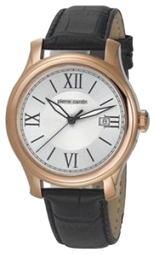 Wrist watch Pierre Cardin PC104121F16 for Men - picture, photo, image