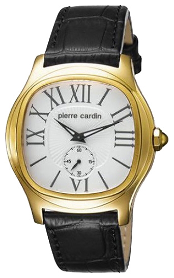 Wrist watch Pierre Cardin PC104131F04 for Men - picture, photo, image