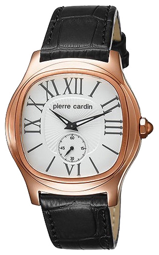 Wrist watch Pierre Cardin PC104131F05 for Men - picture, photo, image