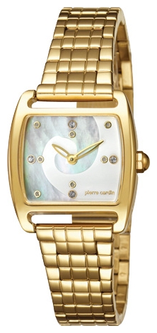 Wrist watch Pierre Cardin PC104152F07 for women - picture, photo, image