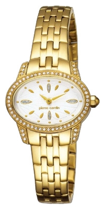 Wrist watch Pierre Cardin PC104202F07 for women - picture, photo, image