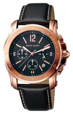Wrist watch Pierre Cardin PC104291F04 for men - picture, photo, image