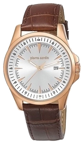 Wrist watch Pierre Cardin PC104511F06 for Men - picture, photo, image