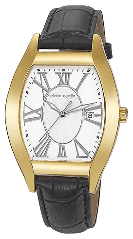 Wrist watch Pierre Cardin PC104531F05 for men - picture, photo, image