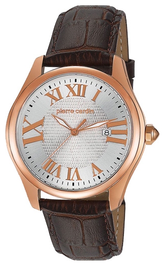 Wrist watch Pierre Cardin PC104571F06 for Men - picture, photo, image
