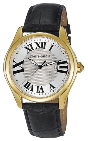 Wrist watch Pierre Cardin PC104571F07 for men - picture, photo, image