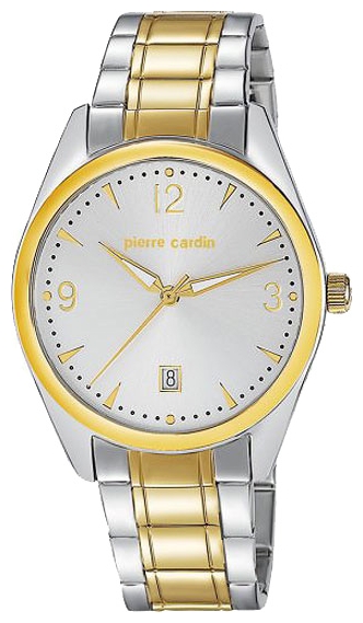 Wrist watch Pierre Cardin PC104731F02 for Men - picture, photo, image