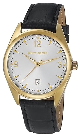 Wrist watch Pierre Cardin PC104731F04 for Men - picture, photo, image