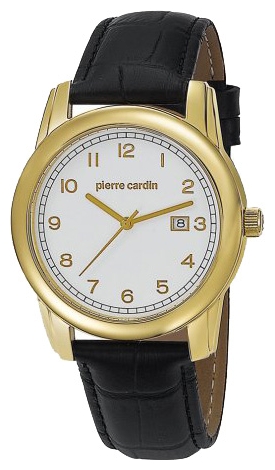 Wrist watch Pierre Cardin PC104751F05 for Men - picture, photo, image