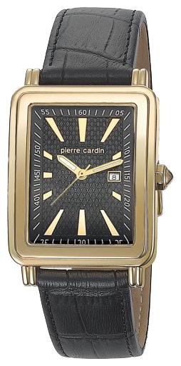 Wrist watch Pierre Cardin PC104831F03 for Men - picture, photo, image
